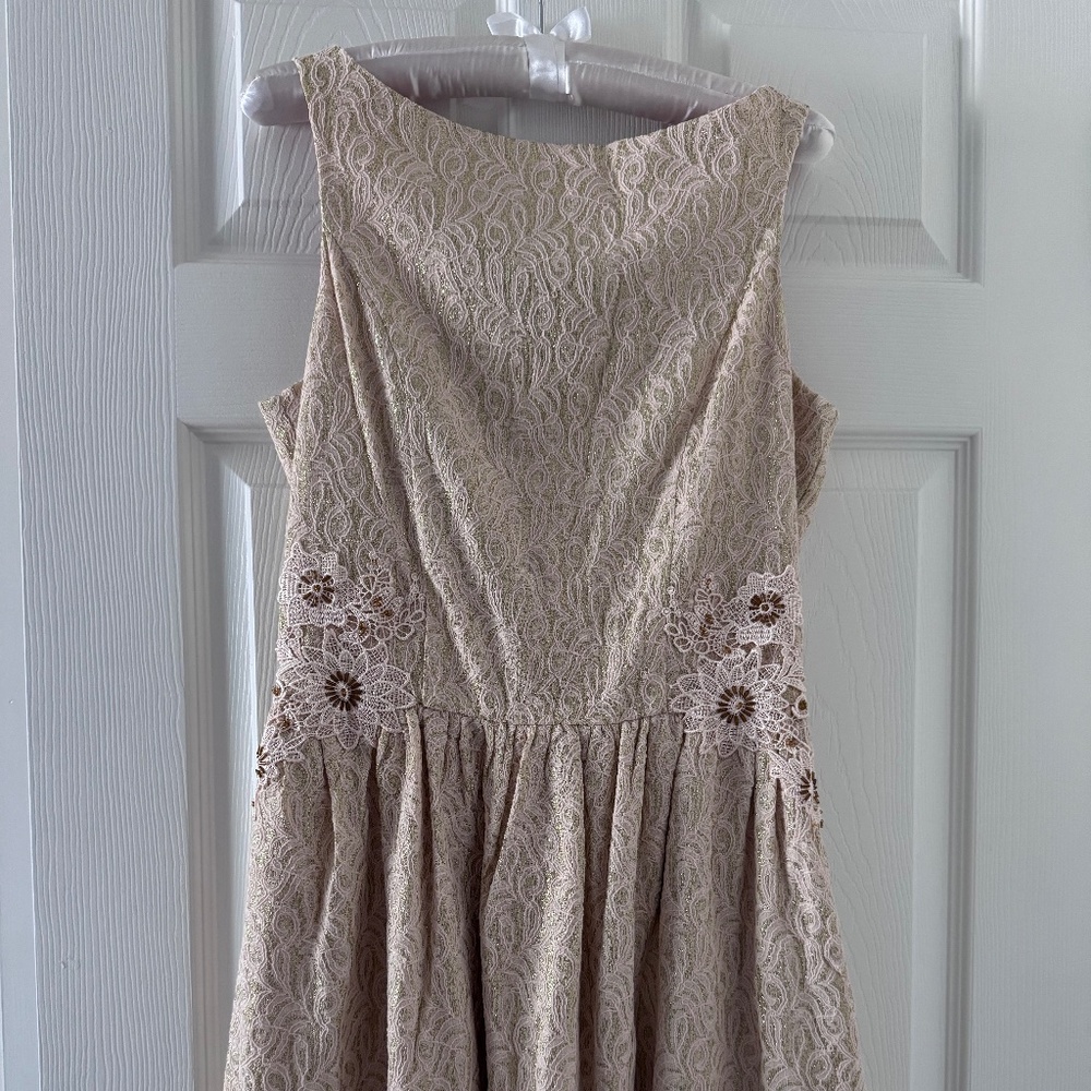 Nick and mo blush sleeveless midi dress  size M